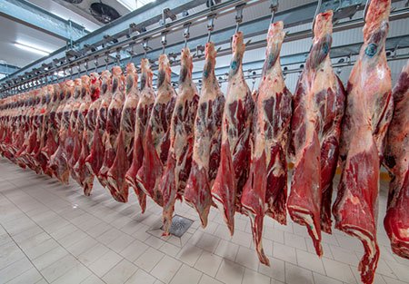 Karkas Meat Products